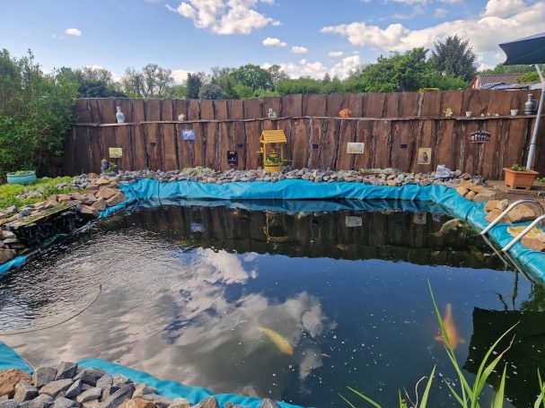 Teich mit Koi-Fischen, umgeben von einer holzverkleideten Mauer und Grünpflanzen.